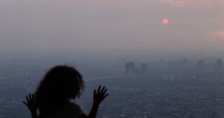 Wildfire smoke could impact your brain health. Here’s how – National