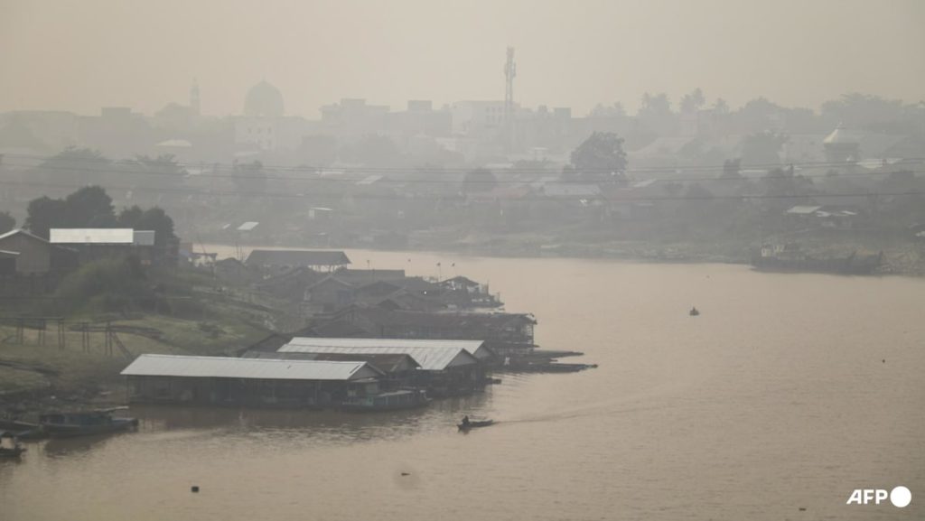 Prabowo orders permits to be revoked for firms linked to Indonesia forest fires