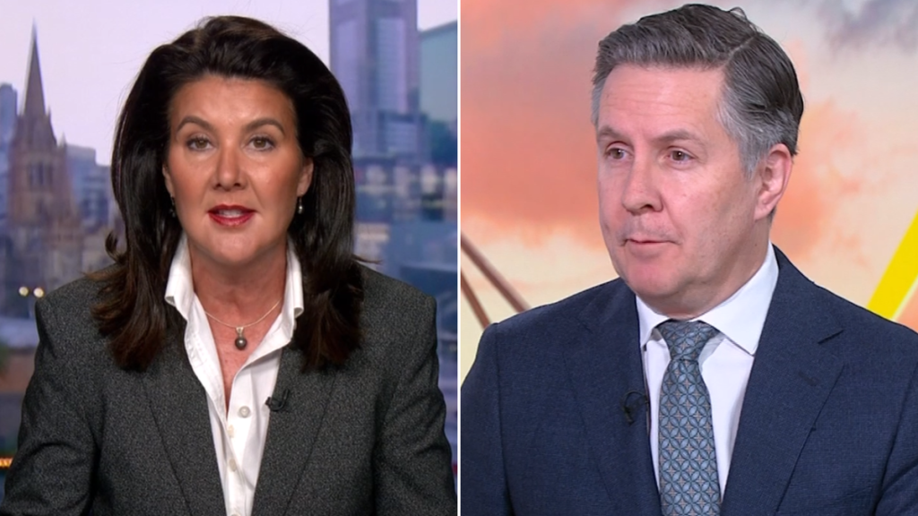 Mark Butler coy on ‘developed plan’ to bring down migration as Jane Hume demands action over visa overstayers
