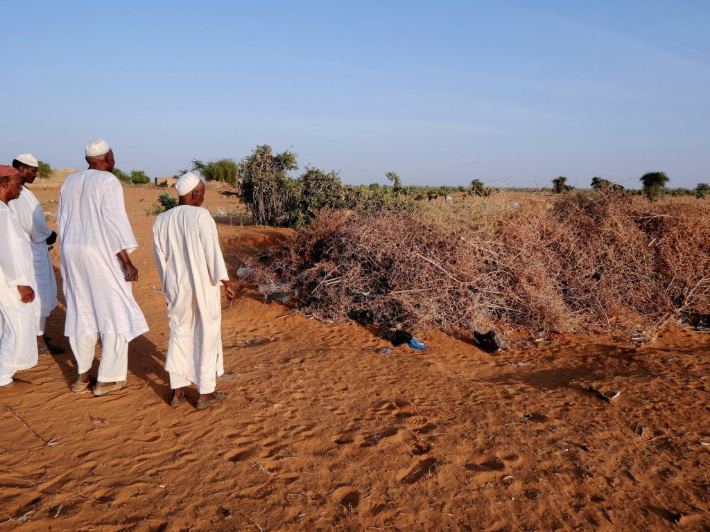 Mass grave with 25 bodies found in Sudan’s Kurmuk after army retakes town | Sudan war News