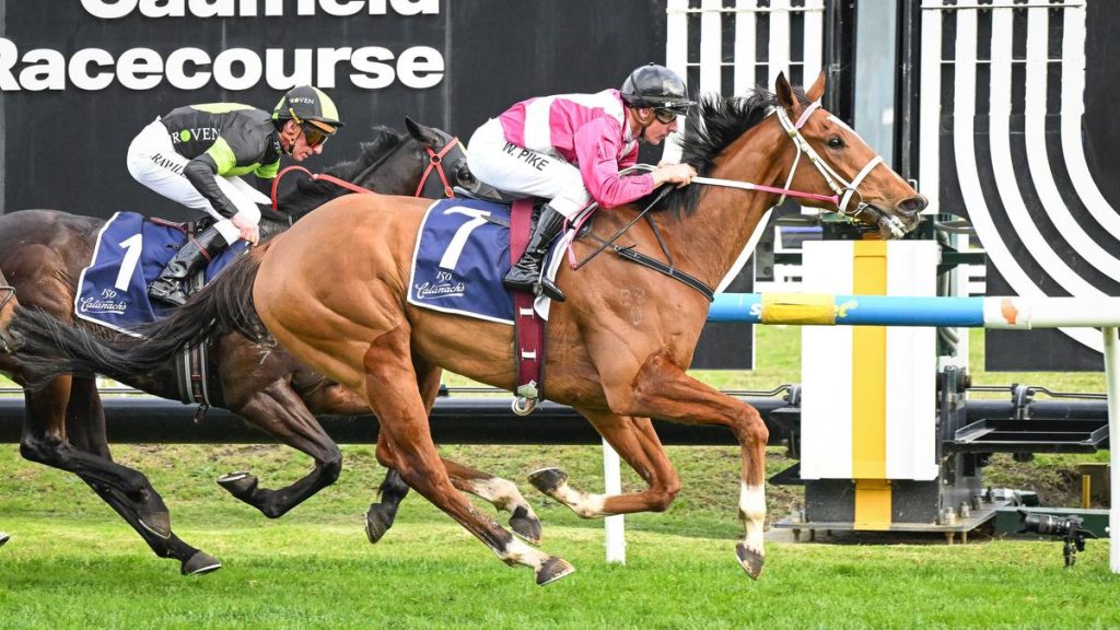 Cosmic Crusader loses Group 1 Memsie Stakes favouritism to Jimmysstar after drawing outside barrier