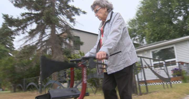 Calgary woman feeling stuck as Home Services for Seniors eligibility runs out – Calgary