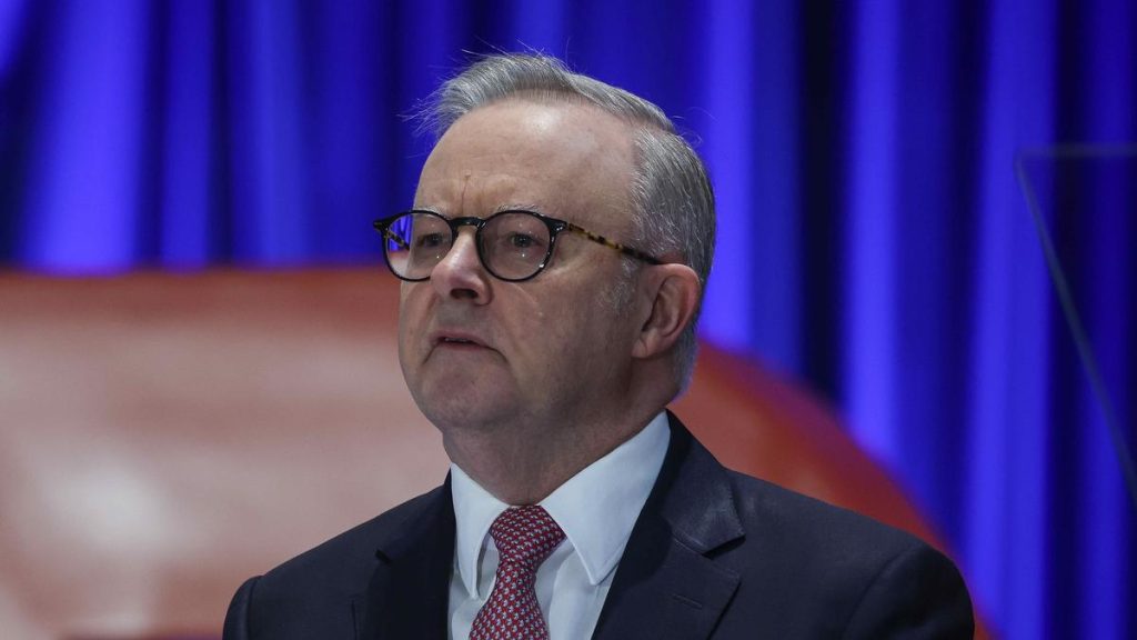 Cameron Milner: Anthony Albanese not up to challenge as nation faces AI conundrum