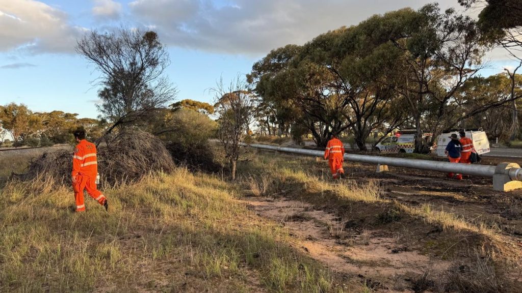 James Ballantyne: Search for missing 87-year-old man with dementia in Wagin enters second night