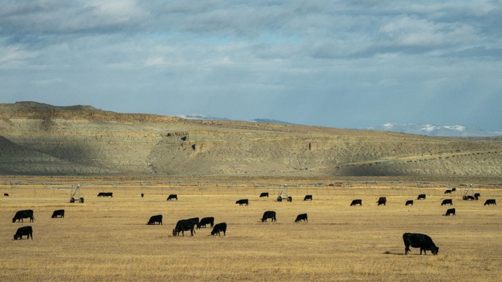 James Byrd wins Wyoming’s Democratic primary for open Senate seat
