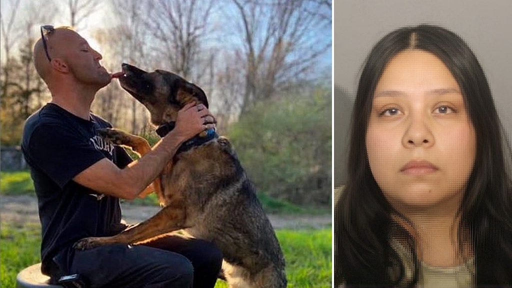 ICE detainer issued for suspect in Bridgeport officer drunken driving crash