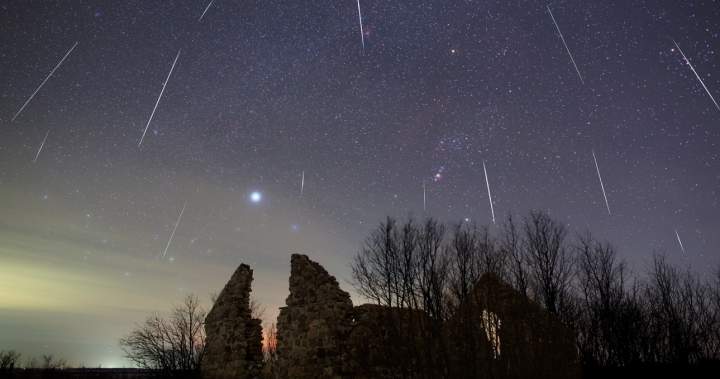 Perseid meteor shower and partial solar eclipse to light up skies next week – National