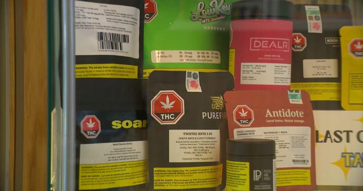 Ottawa pledges millions to study cannabis mental health, pregnancy impacts – National