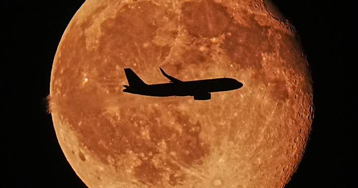 Toronto man pleads guilty to wire fraud after posing as pilot for free flights