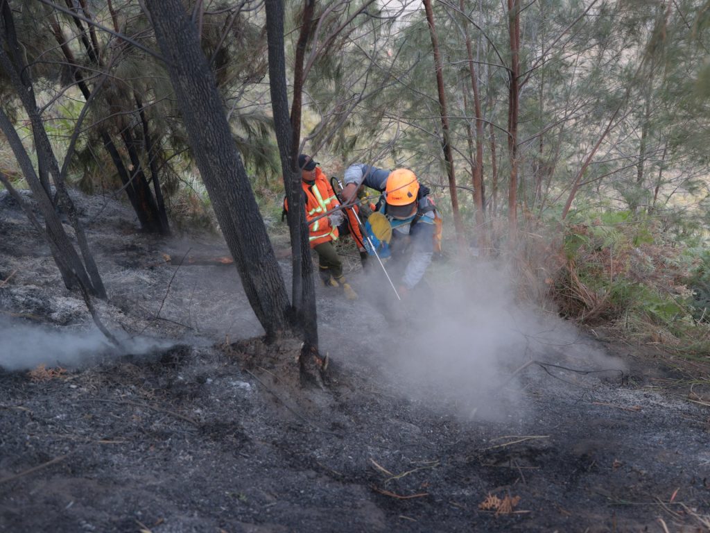 Indonesia bolsters troop numbers to combat Borneo wildfires | Climate Crisis News