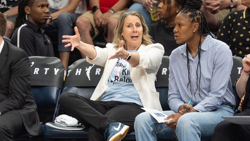Former Vikings captain Jack Brewer calls out Lynx coach Cheryl Reeve for ‘trans kids belong’ shirt