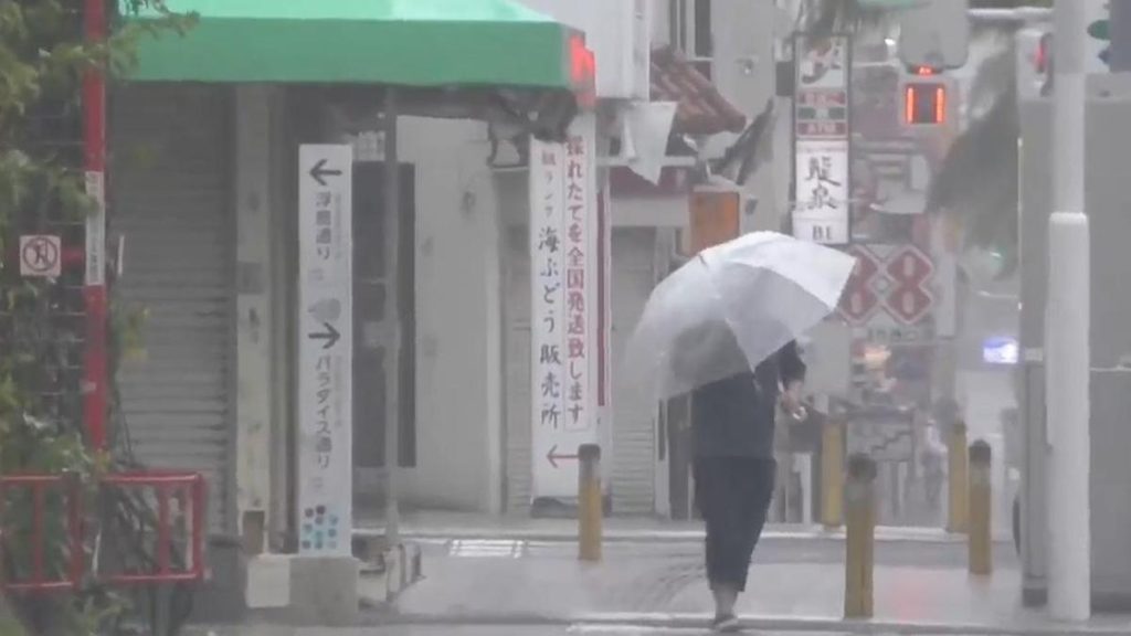 Typhoon hits Japan's Okinawa, China shuts ports