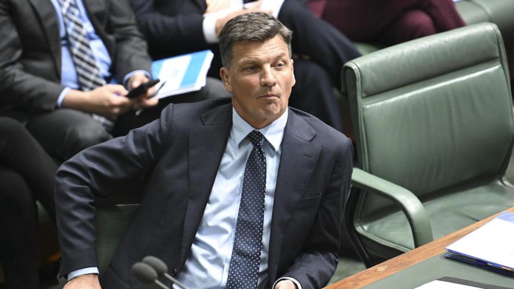 Liberals face ‘risky’ One Nation call as coalition will they, won’t they endures