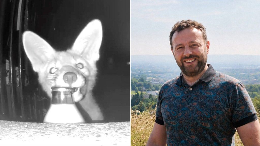 Glasgow homeowner uses security camera to catch fox stealing milk