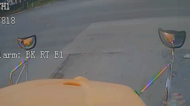 Florida driver allegedly flees traffic stop and crashes into school bus