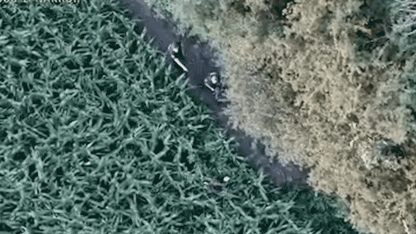 Wisconsin man flees into cornfield, caught by K-9 and drone manhunt