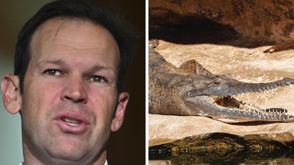 Matt Canavan demands BBC apologise after broadcaster uses wrong crocodile footage