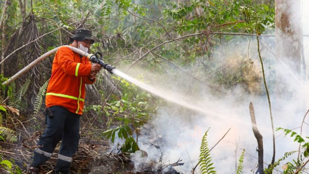 Wildfires spread near Indonesia's new capital, prompting calls for action