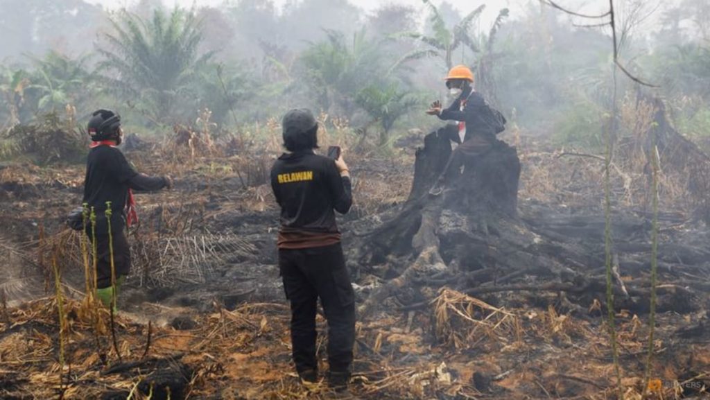 Indonesia’s wildfires may last until early November, minister says