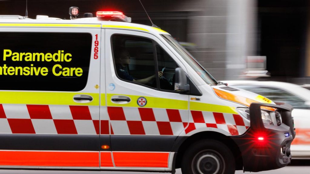 Blue Mountains, NSW: One child dead, two others and a woman in critical condition after stabbing