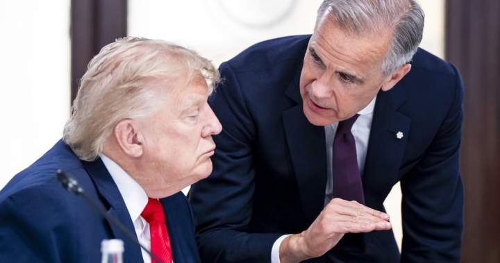 Trump’s trade war with Canada becoming U.S. midterms ballot box issue – National