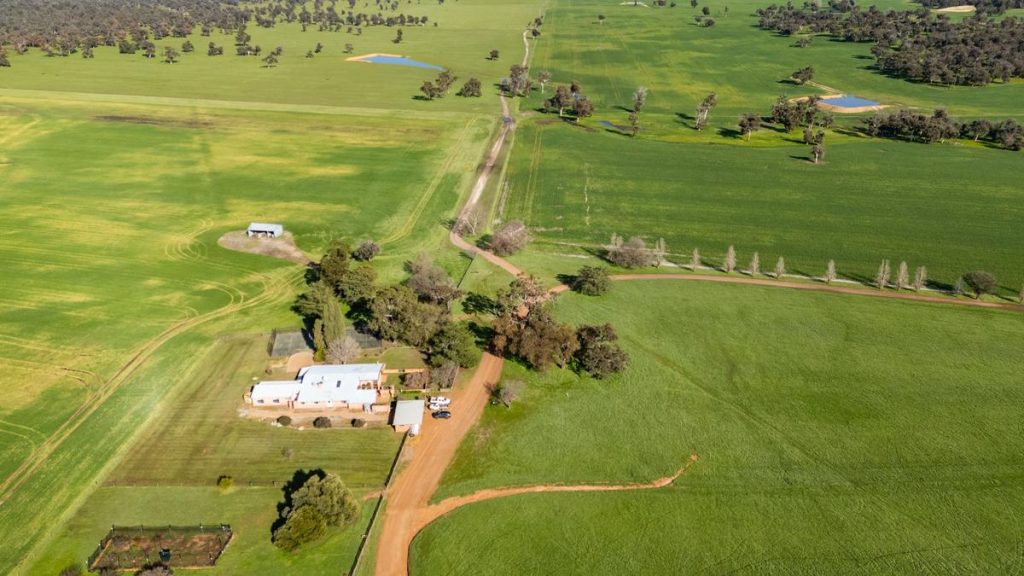 Wheatbelt farm draws carbon offset interest