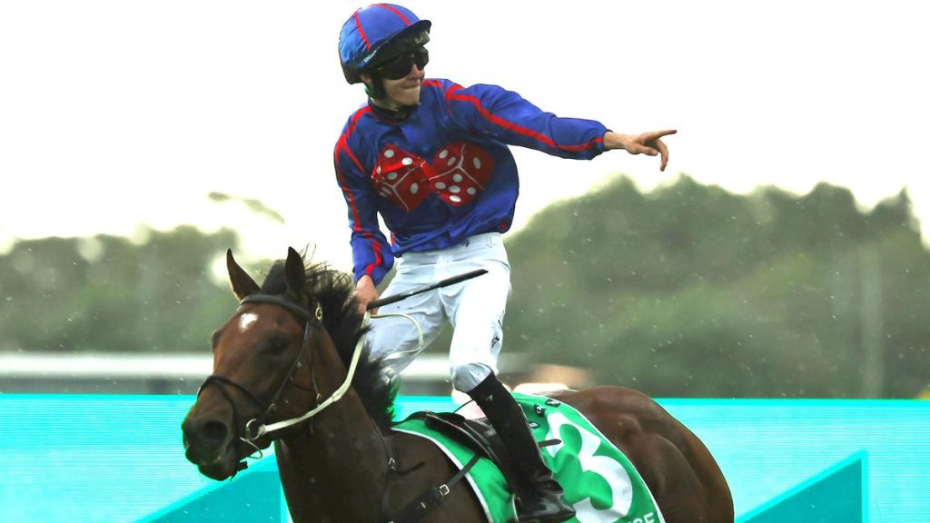 Guest House will bid to further enhance his inevitable stud career in the Group 1 Golden Rose