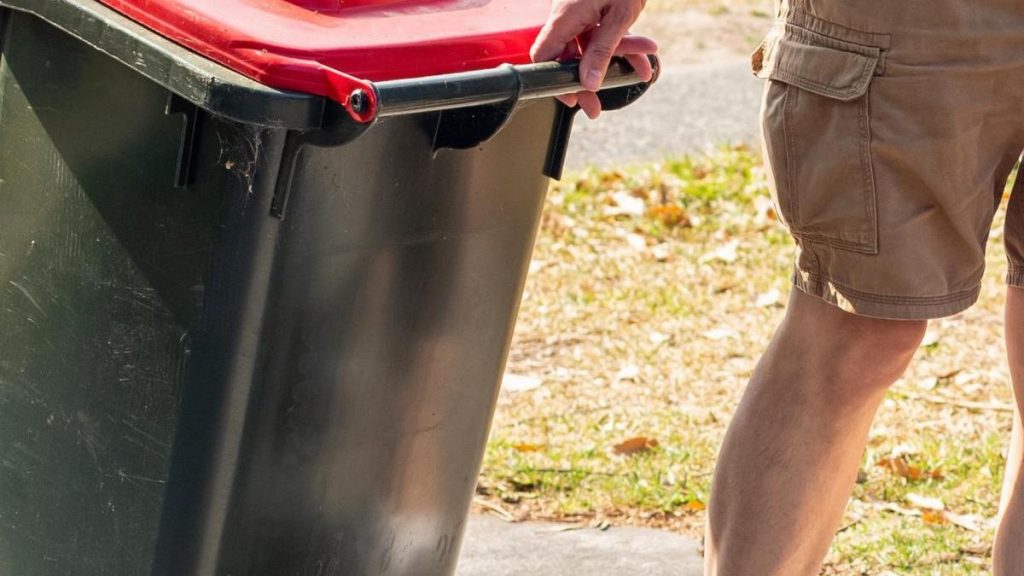 Southern Grampians households face $209 fines under council’s three-strike bin crackdown
