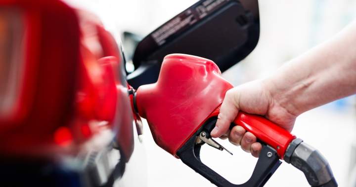 Liberals extending fuel excise tax suspension to January