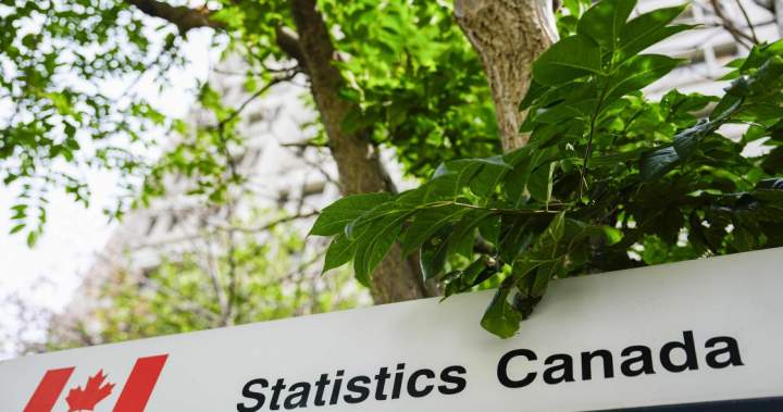 Canada’s 2026 census participation was among highest ever, says StatCan – National