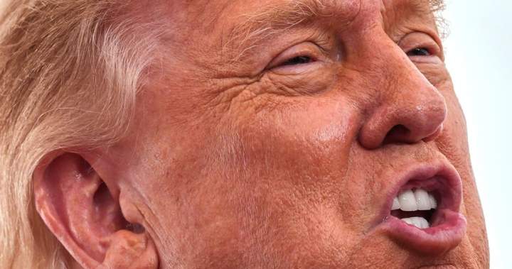 Trump says Canada ‘wants to make a deal very badly’ – National