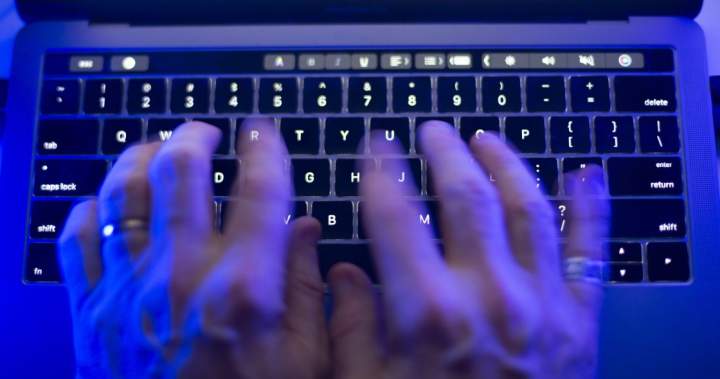 Canada’s privacy czar launches investigation of major driver’s licence hack – National