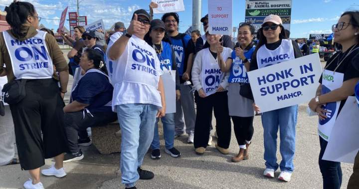 350 Dynacare workers strike in Manitoba due to ‘huge’ wage gap: union president – Winnipeg
