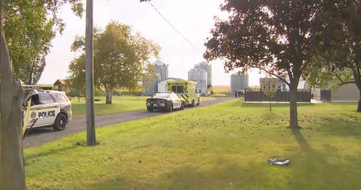 4 killed after helicopter crashes in field near Montreal – Montreal