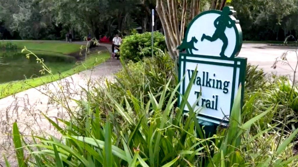 Michigan man dies in apparent lightning strike near Celebration, Florida