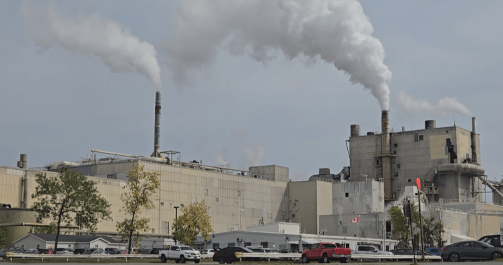 Uncertainty hangs over Nackawic after pulp mill announces temporary shutdown – New Brunswick