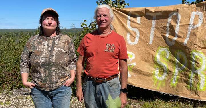 Bear River, N.S. residents raise concerns over planned aerial glyphosate spraying – Halifax
