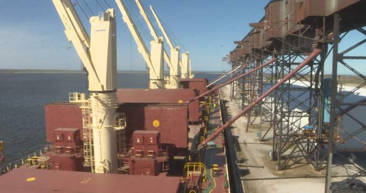 Port of Churchill resumes grain shipments for 1st time in 6 years – Winnipeg