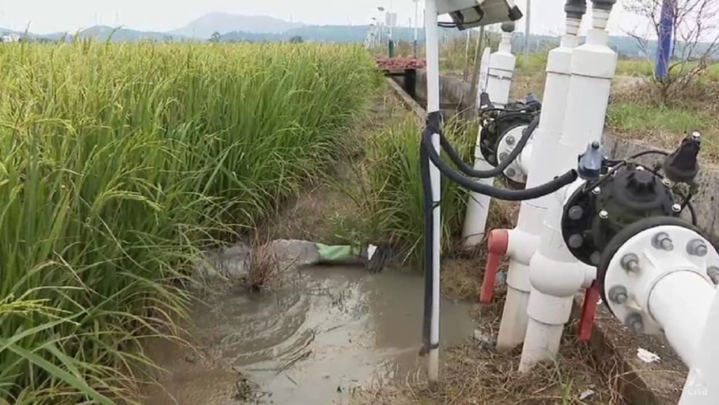 Can technology give China’s farmers an edge against extreme weather?