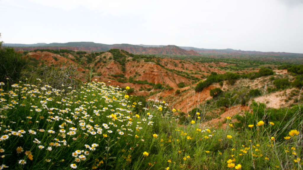 Best hikes to try around Lubbock ahead of Texas Tech’s week one matchup with Abilene Christian