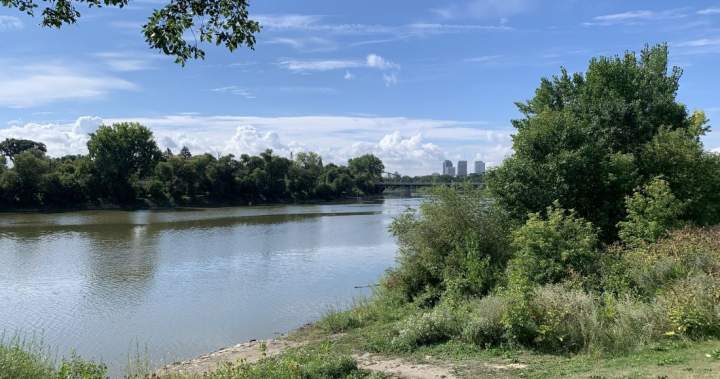 Winnipeg woman saves father and child from drowning: WPS – Winnipeg
