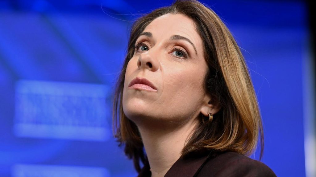 Labor open to Greens’ demand to let Australians sue big tech over online harm under Digital Duty of Care