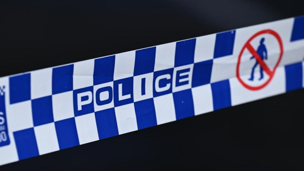 Pilot killed in light plane crash at outback airstrip