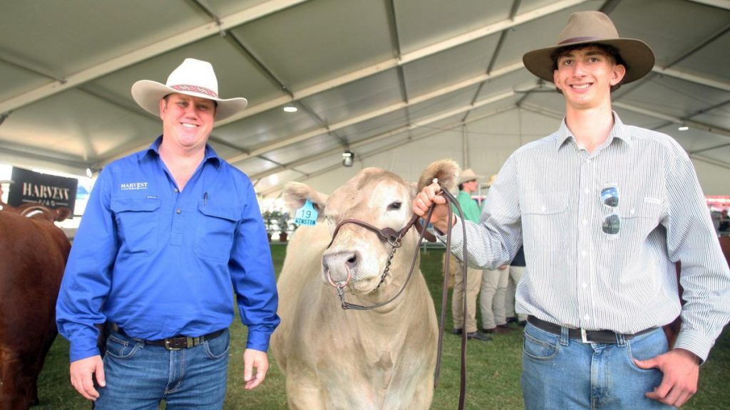 Perth Royal Show: Black Dog Ride charity steer Winston 19 tops led auction at $10,000