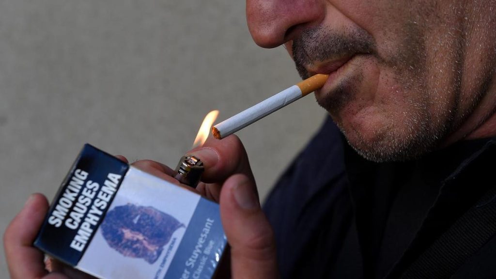 Legal cigarette sales soar after black market crackdown