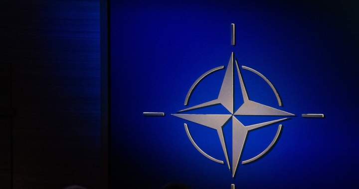 Canada needs a ‘good mix’ of new tech like drones, AI: NATO commander – National