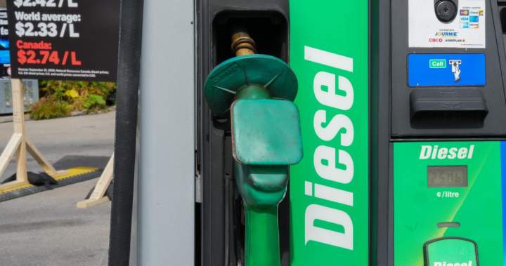 As Texas declares state of emergency over fuel shortage, what’s dyed diesel – National