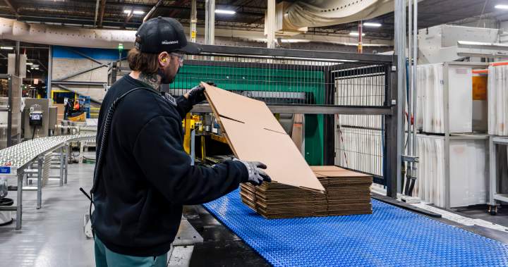 Did Canada add jobs in September? StatCan to release data – National