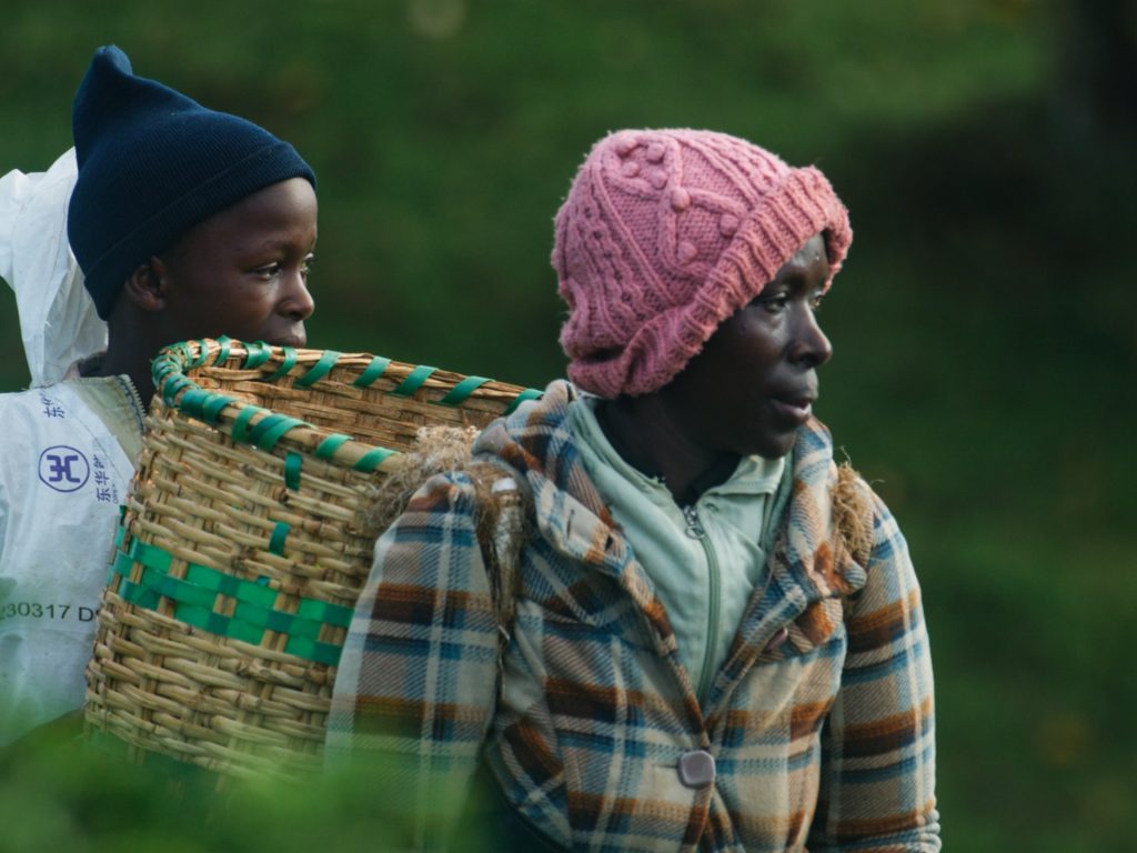 The filmmaker taking on Kenya’s colonised tea plantations | Al Jazeera