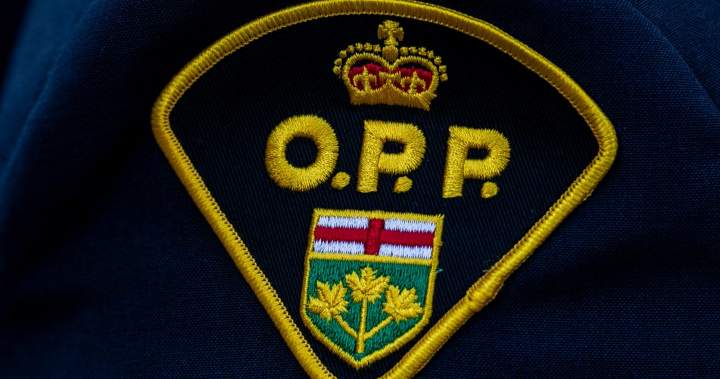 Police investigate small plane crash in field near Fergus, Ont.